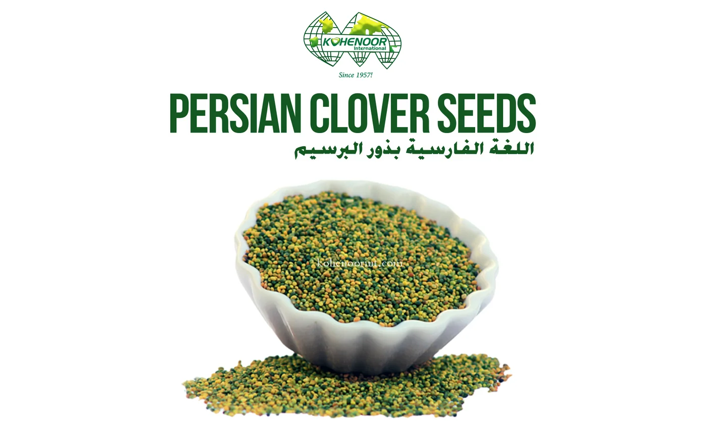Persian clover seed (Trifolium resupinatum, shaftal) — Kohenoor International, Pakistan