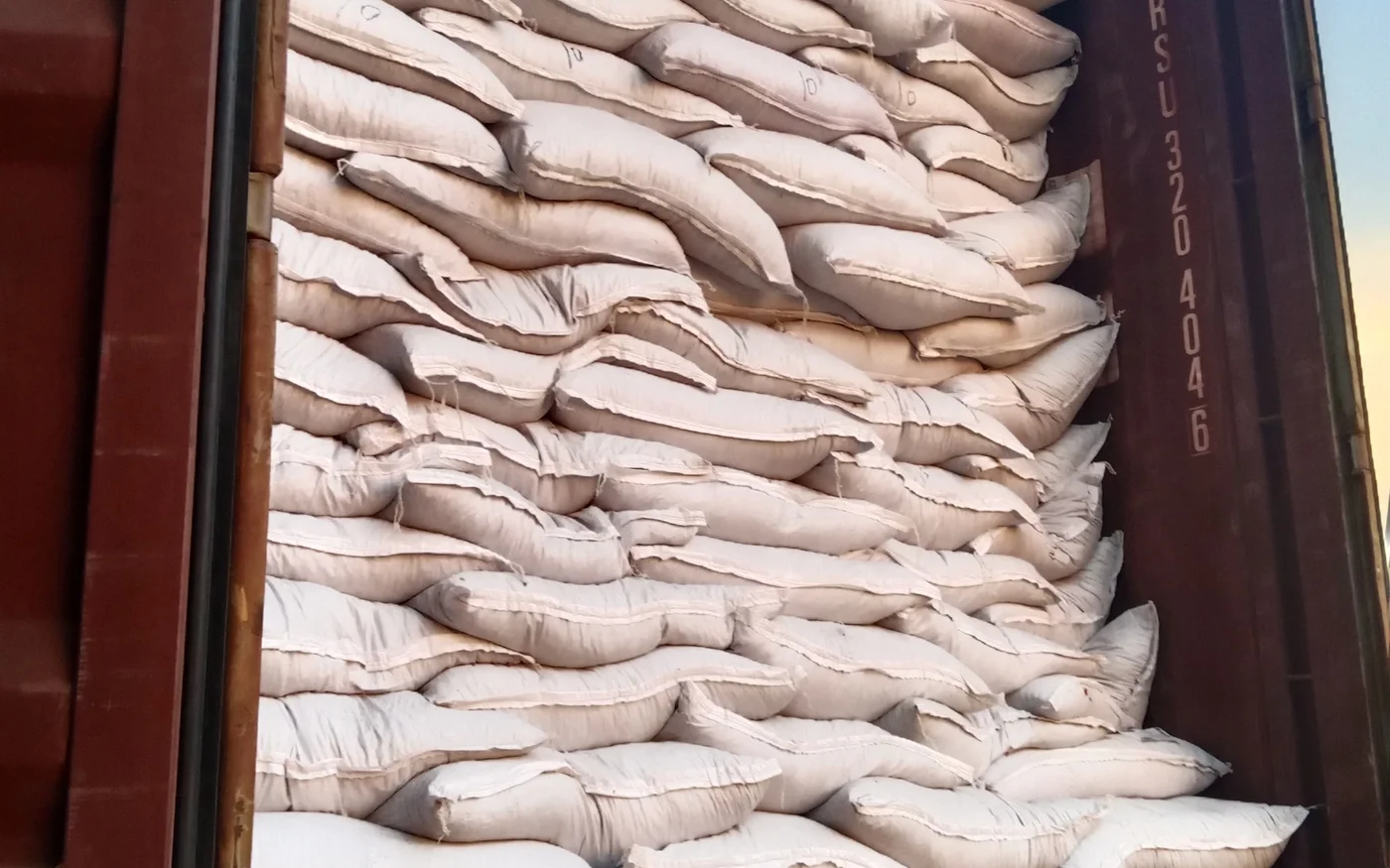 Export container packed with Kohenoor International seed bags at Karachi