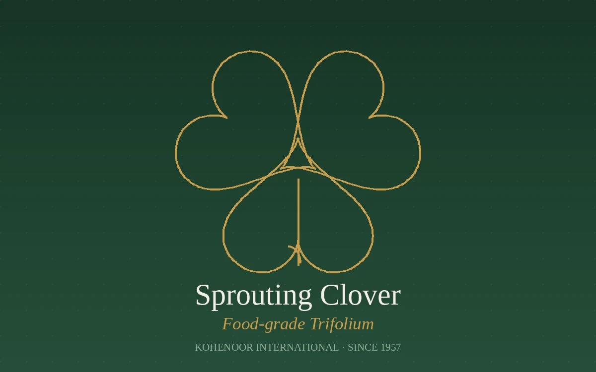 Kohenoor International clover seed — Trifolium, Pakistan origin