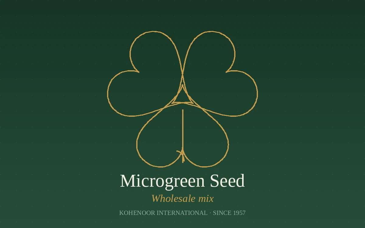 Kohenoor International clover seed — Trifolium, Pakistan origin