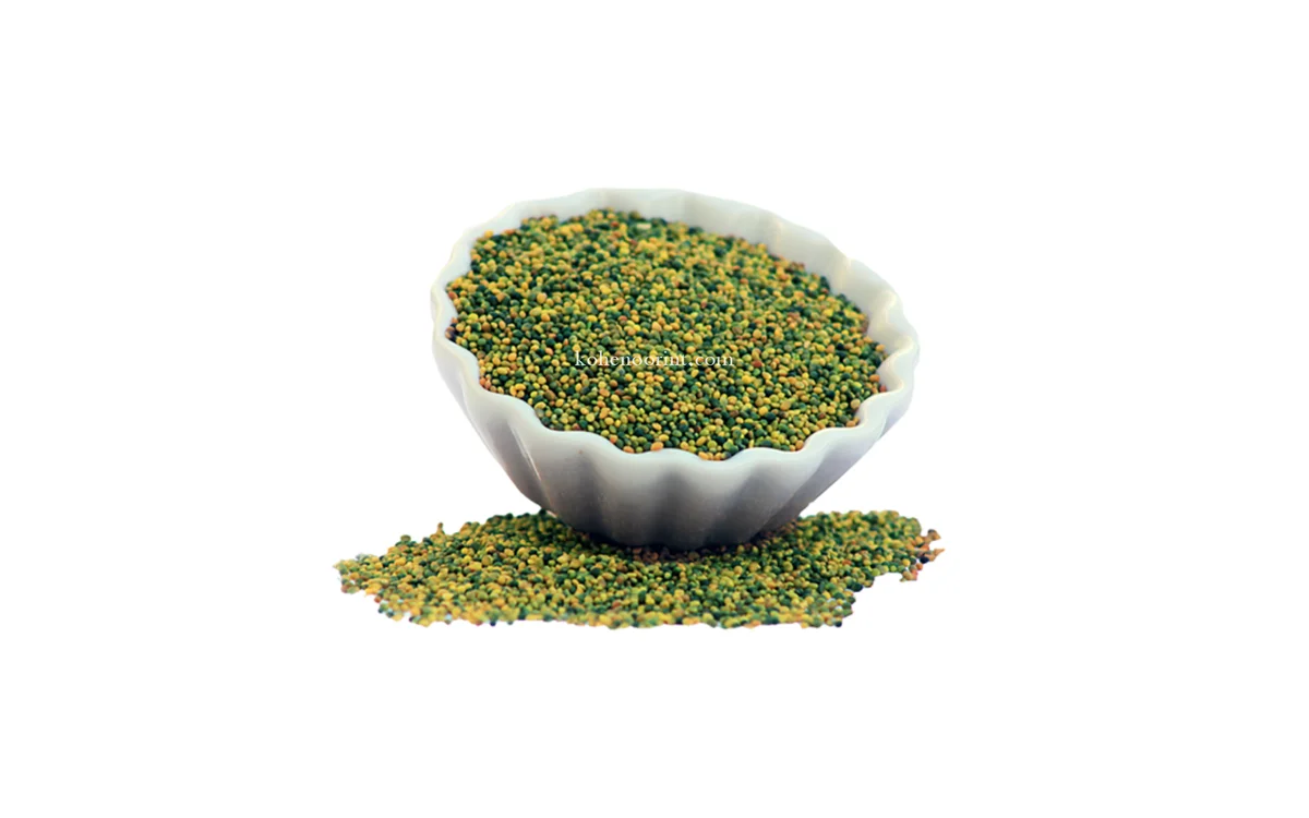 Kohenoor International clover seed — Trifolium, Pakistan origin