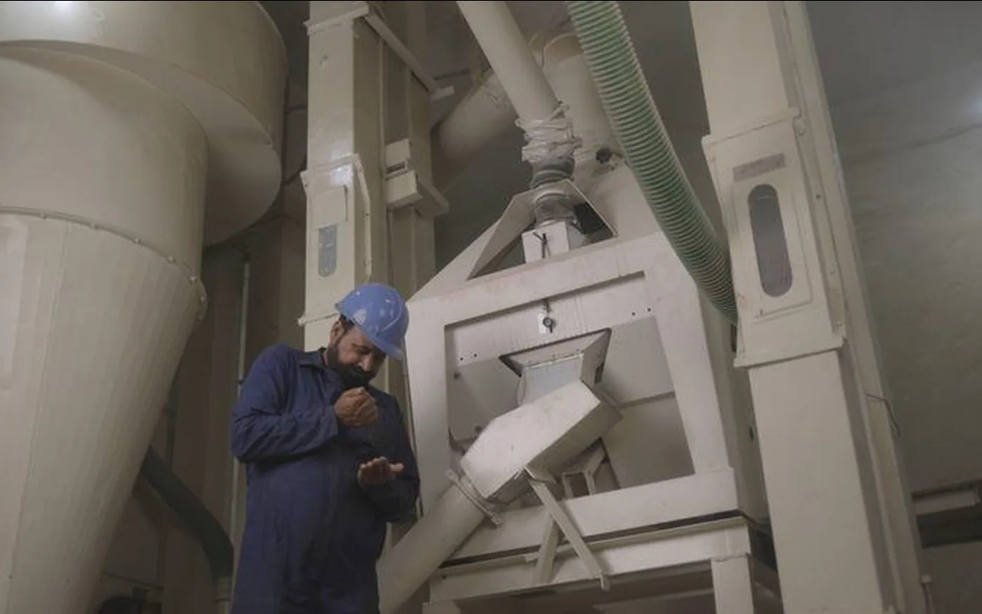 Seed cleaning, sortex grading and quality inspection at Kohenoor International's facility in Pakistan